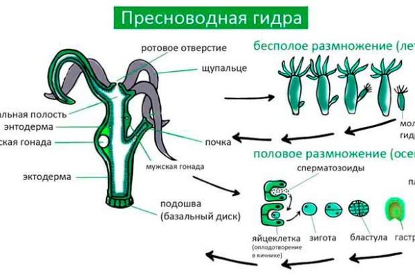 Kraken наркотики сайт