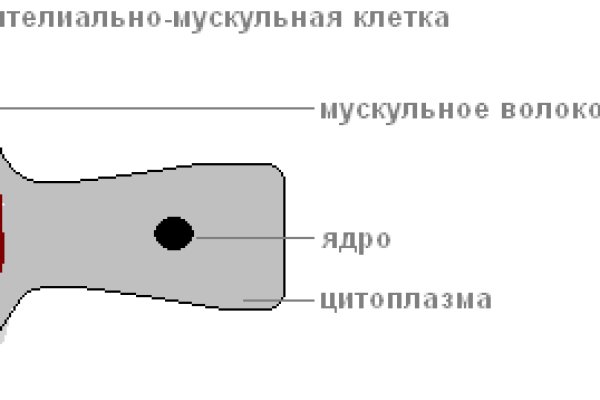 Кракен ссылка тор браузер