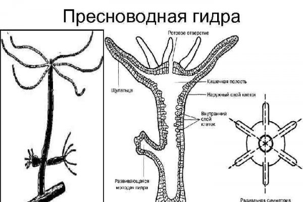 Kraken маркетплейс как зайти