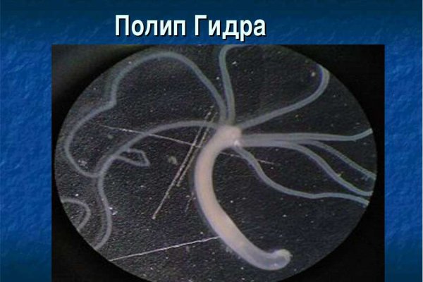 Кракен рабочая ссылка на официальный магазин